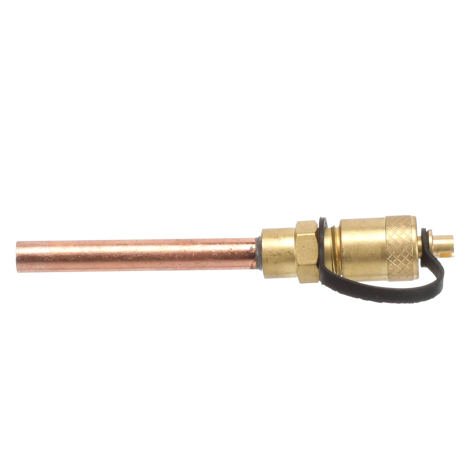 Check Plug Assembly USP