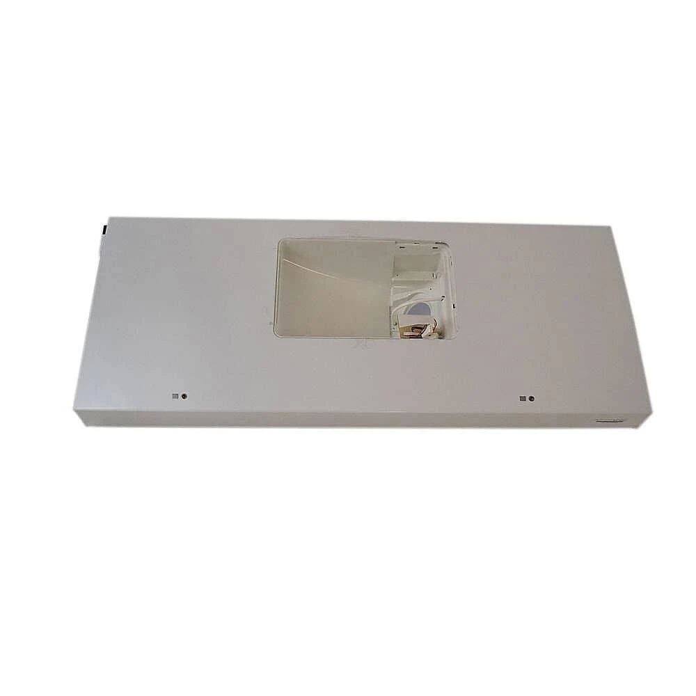 Door Foam Assembly