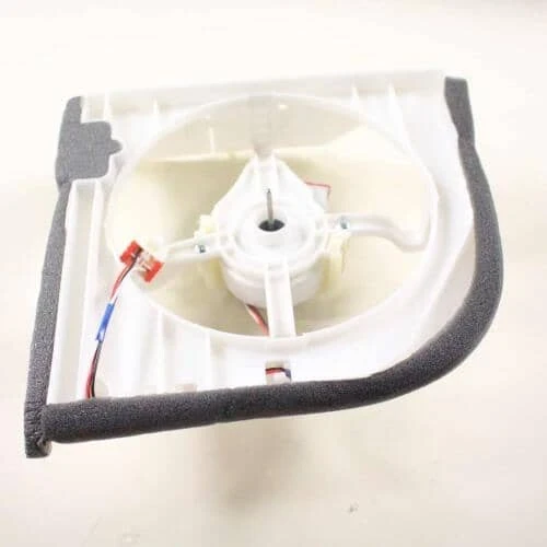 Circuit Motor Support Assembly
