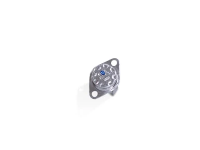 250V Thermostat