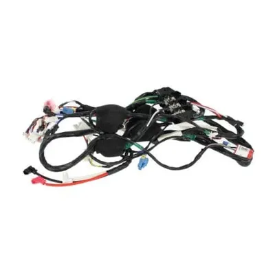 Main Wire Harness Assembly