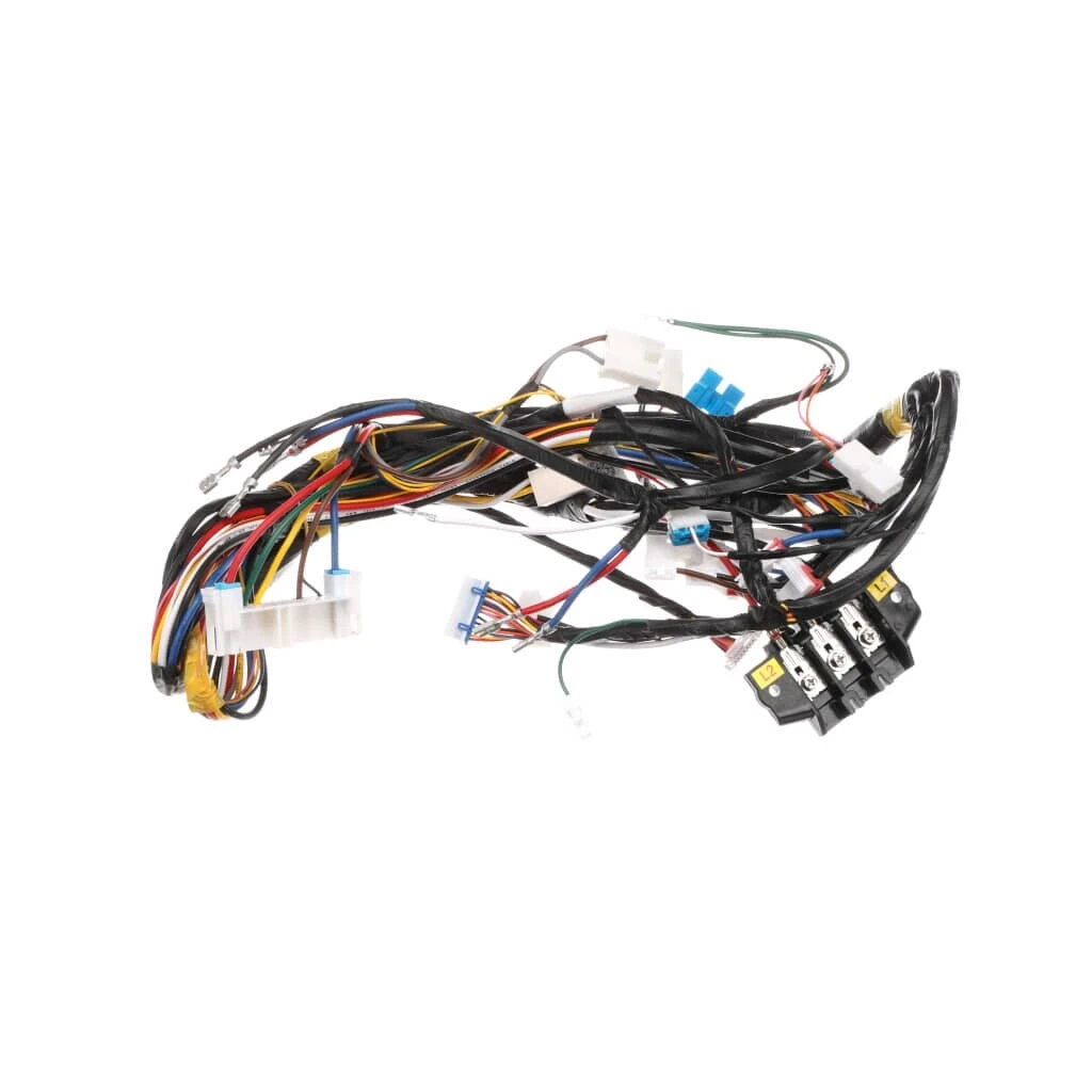 Main Wire Harness Assembly