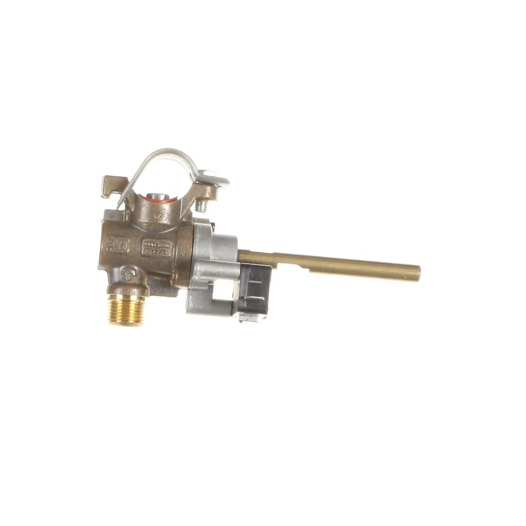 Service Assembly Dual Valve Natural Gas 12.5K