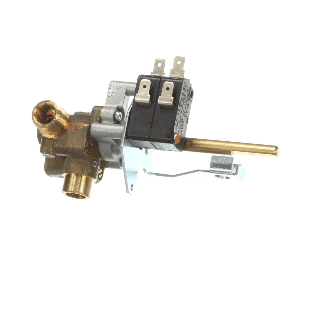 Service Dual Burner Valve Assembly NGH