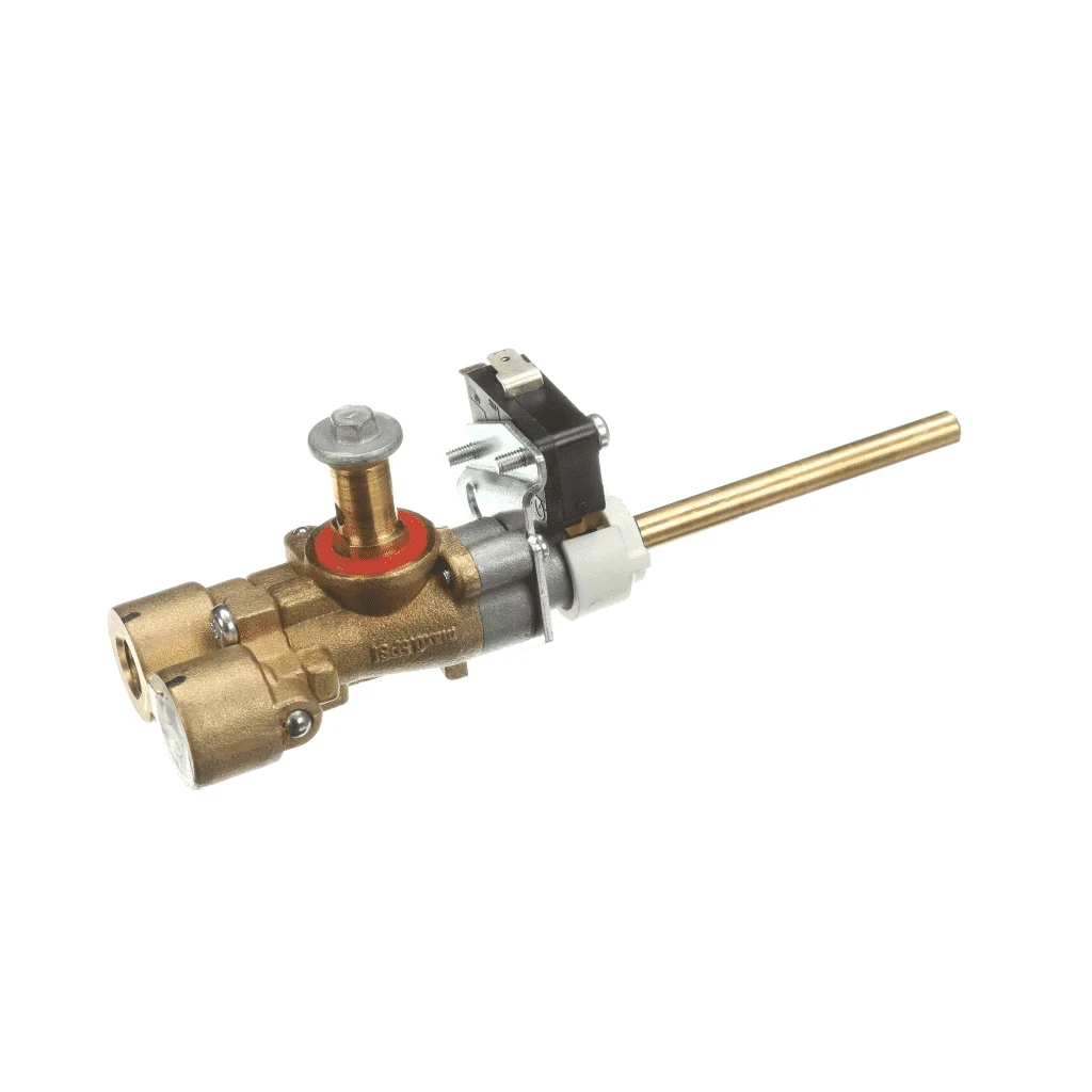 Service Assembly Bottom Natural Gas Valve