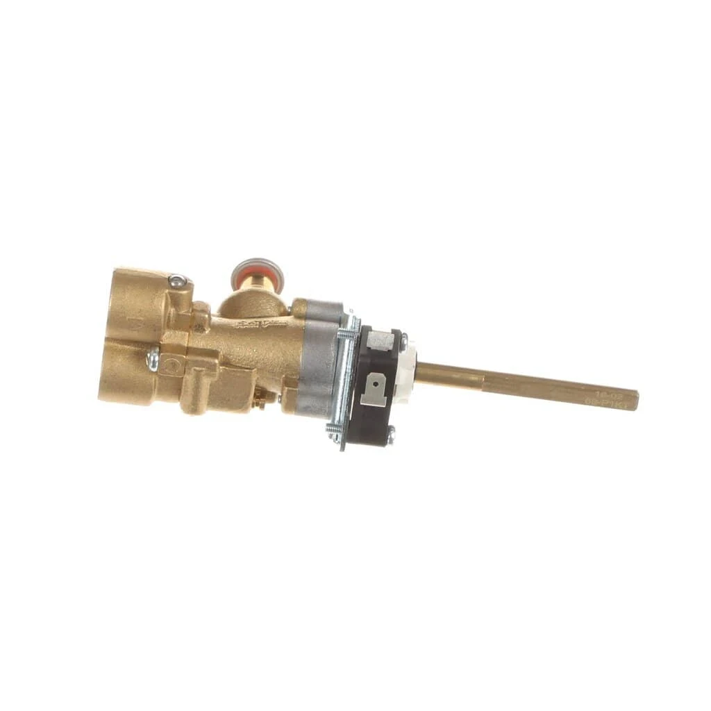 Service Assembly Valve SP Top Natural Gas