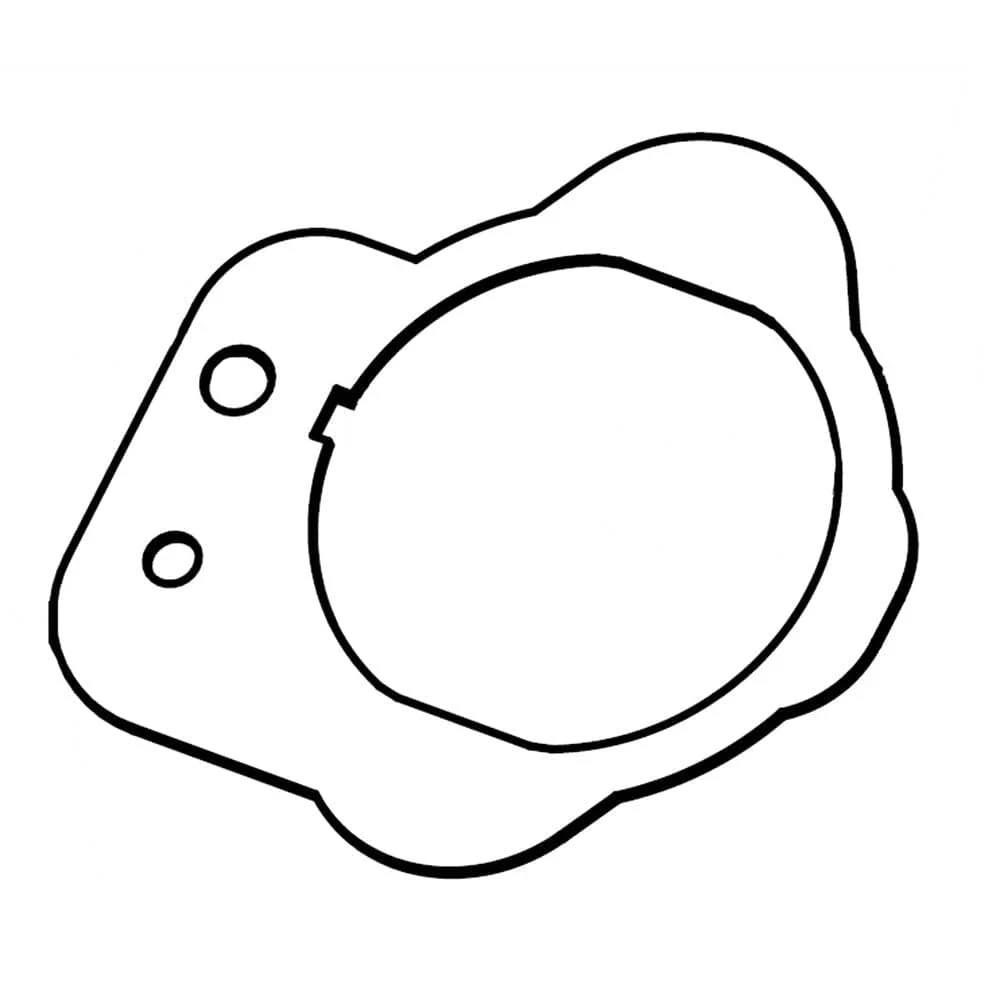 Gasket