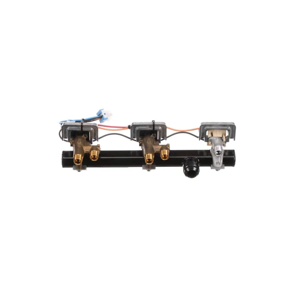 Manifold Valve Assembly