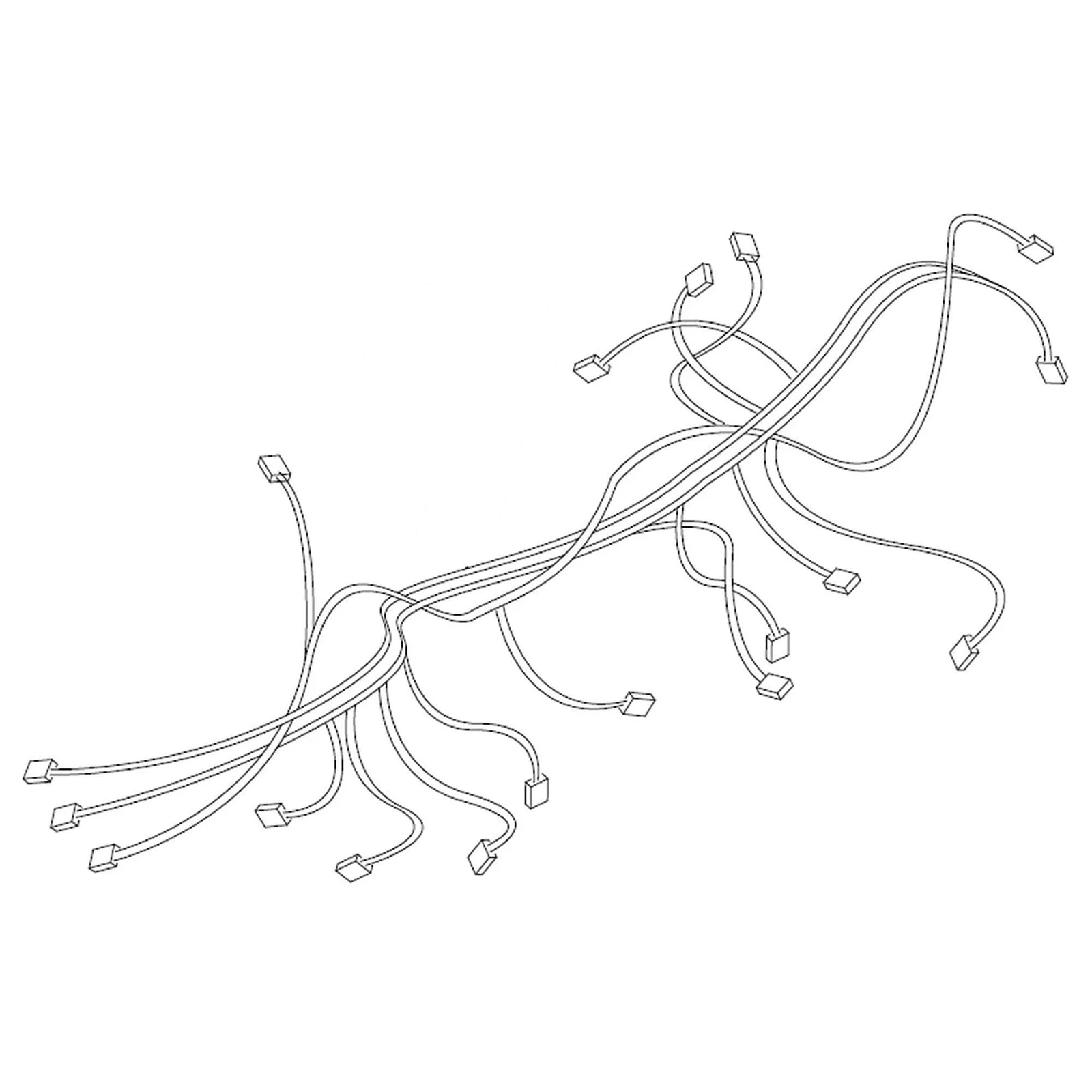 Assembly Main Wire Harness