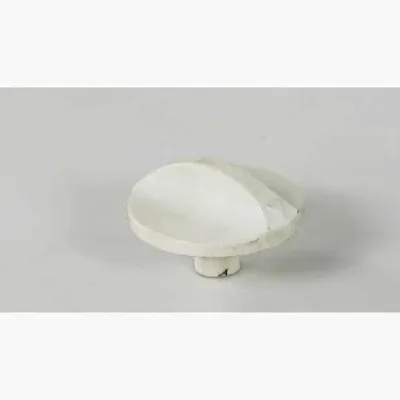 Thermostat Knob