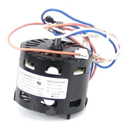 Fan Motor