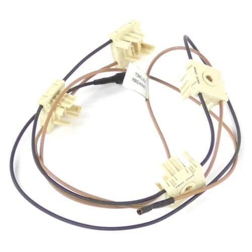 Igniter Switch