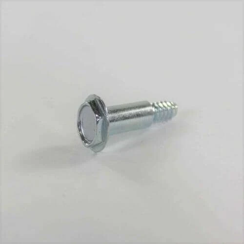 Screw