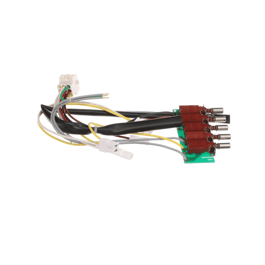 Motor Control