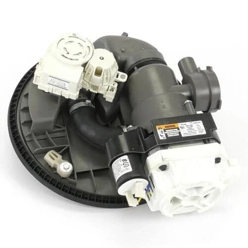 Pump and Motor