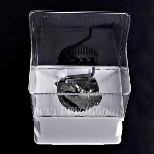 Ice Container