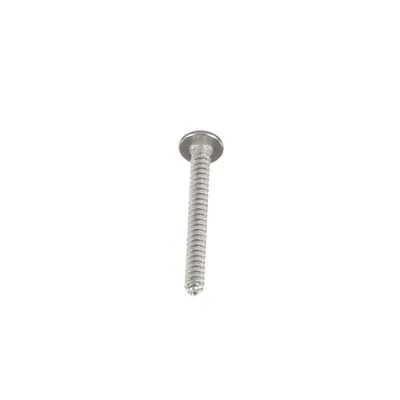 Screw