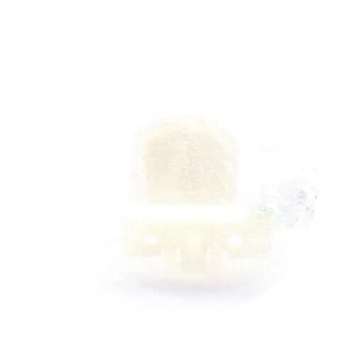Ice Door