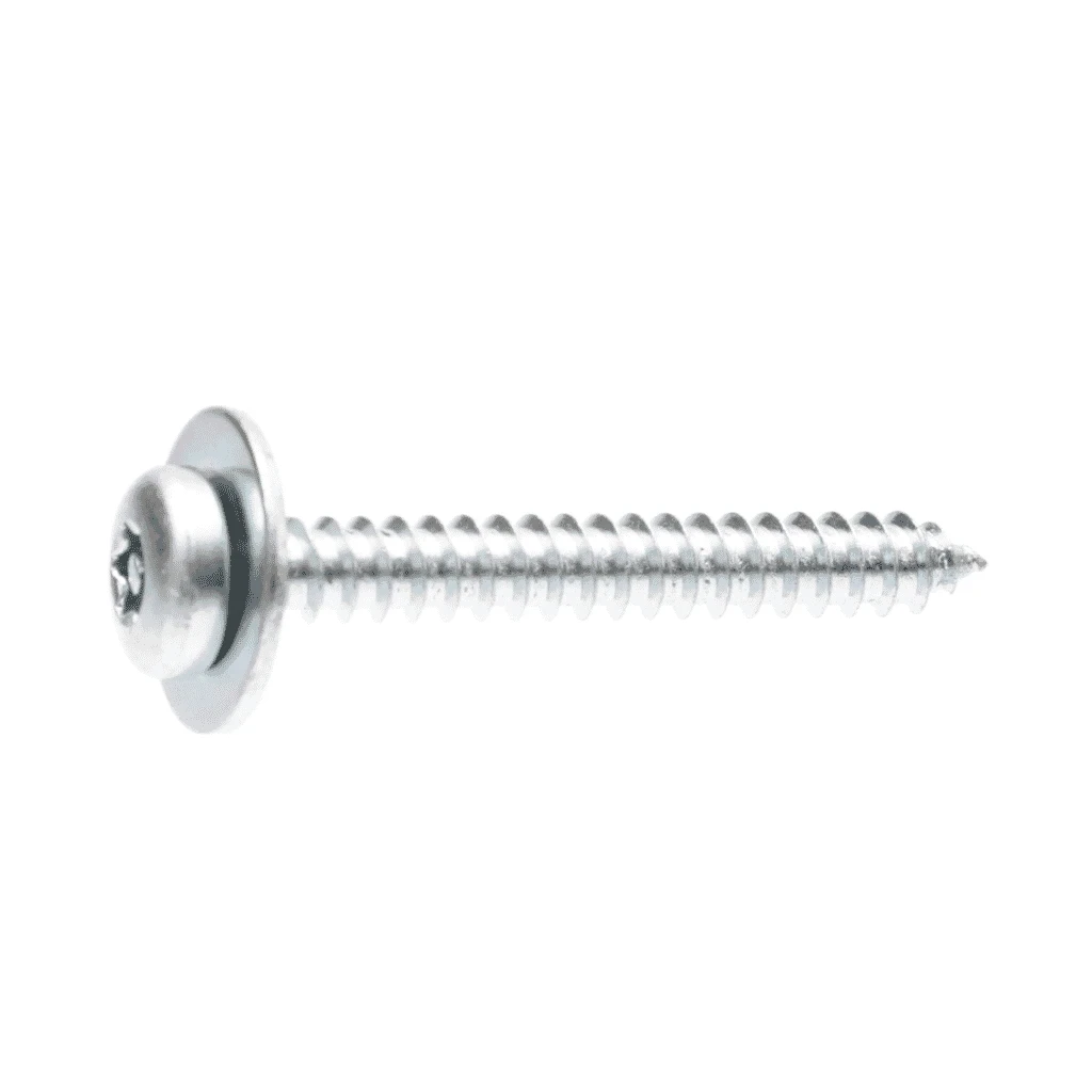 Screw Torx