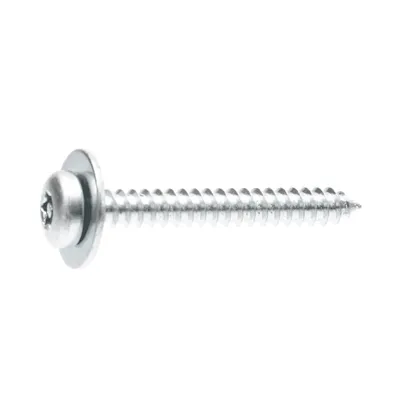Screw Torx