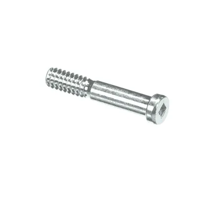 Screw