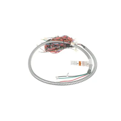 Wire Harness