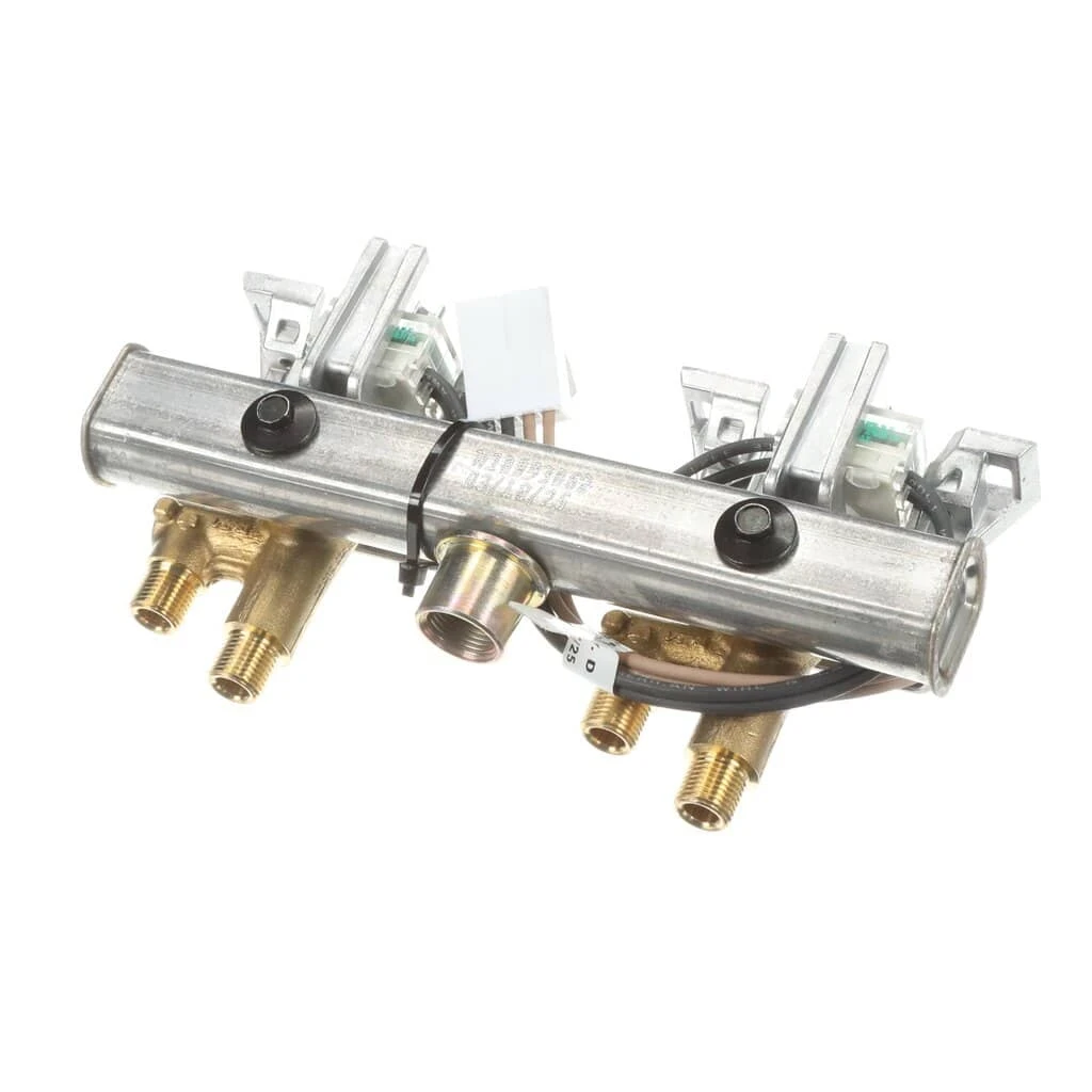 Manifold