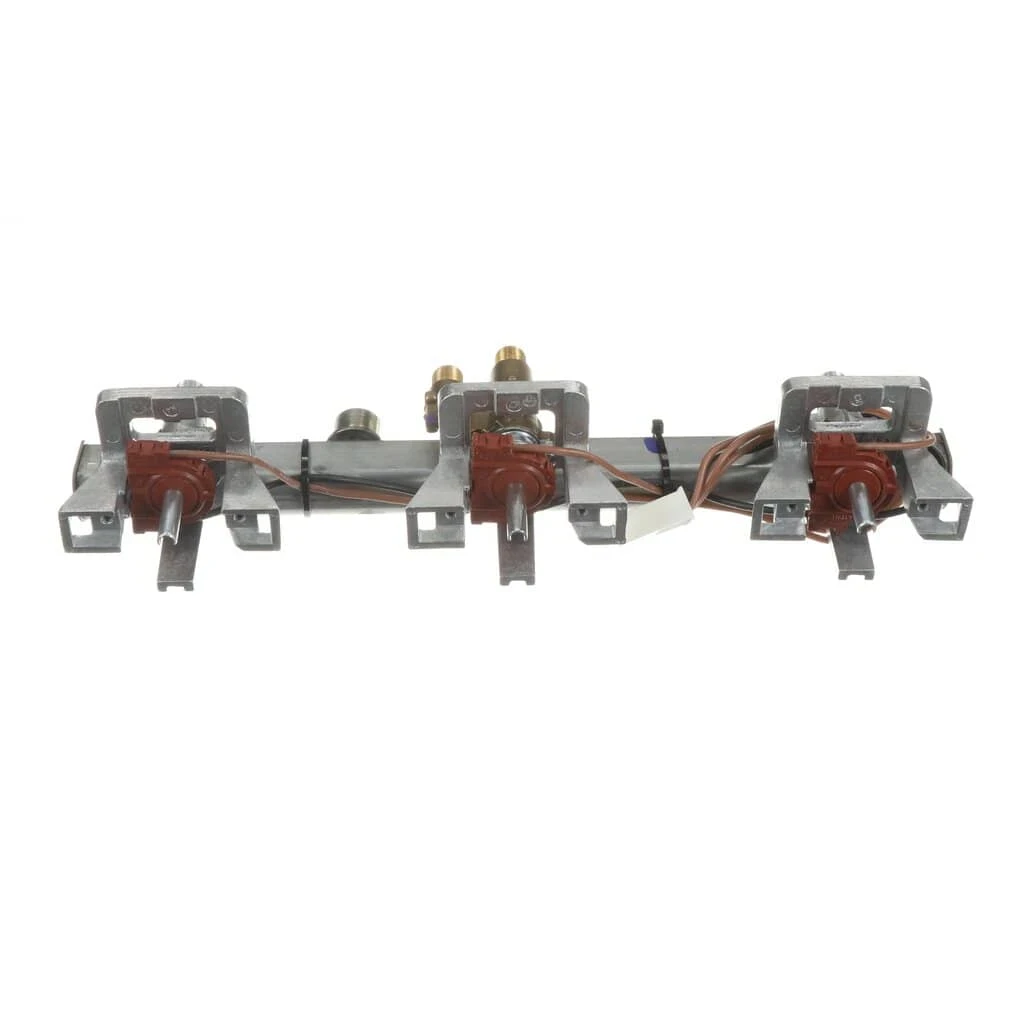 Manifold
