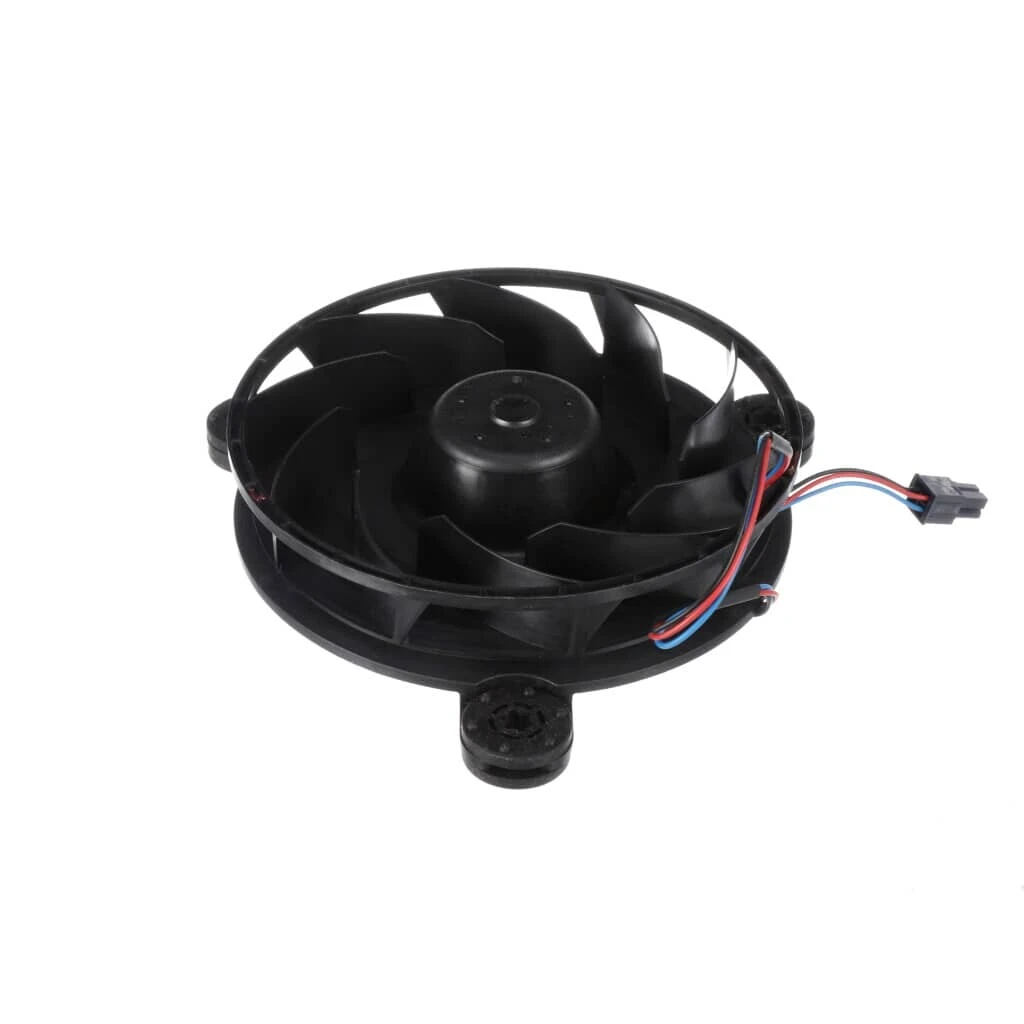 Evaporator Motor