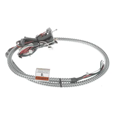 Wire Harness