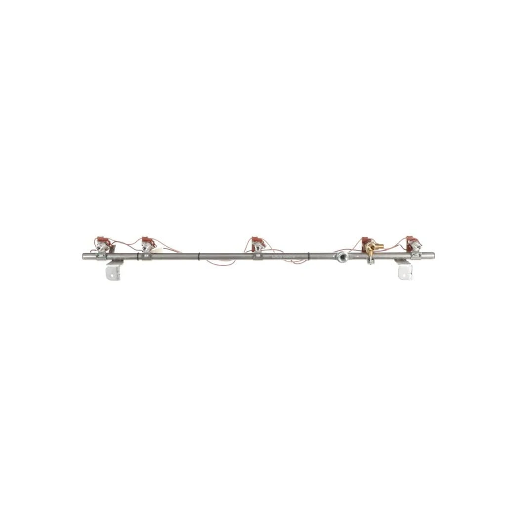 Manifold