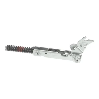 Door Hinge