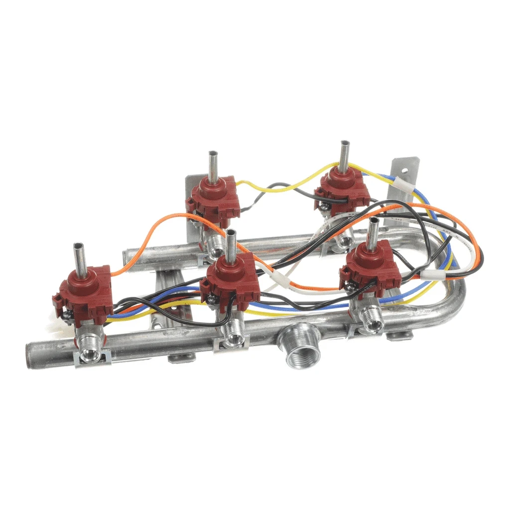 Manifold