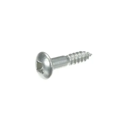 Screw