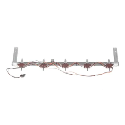 Manifold