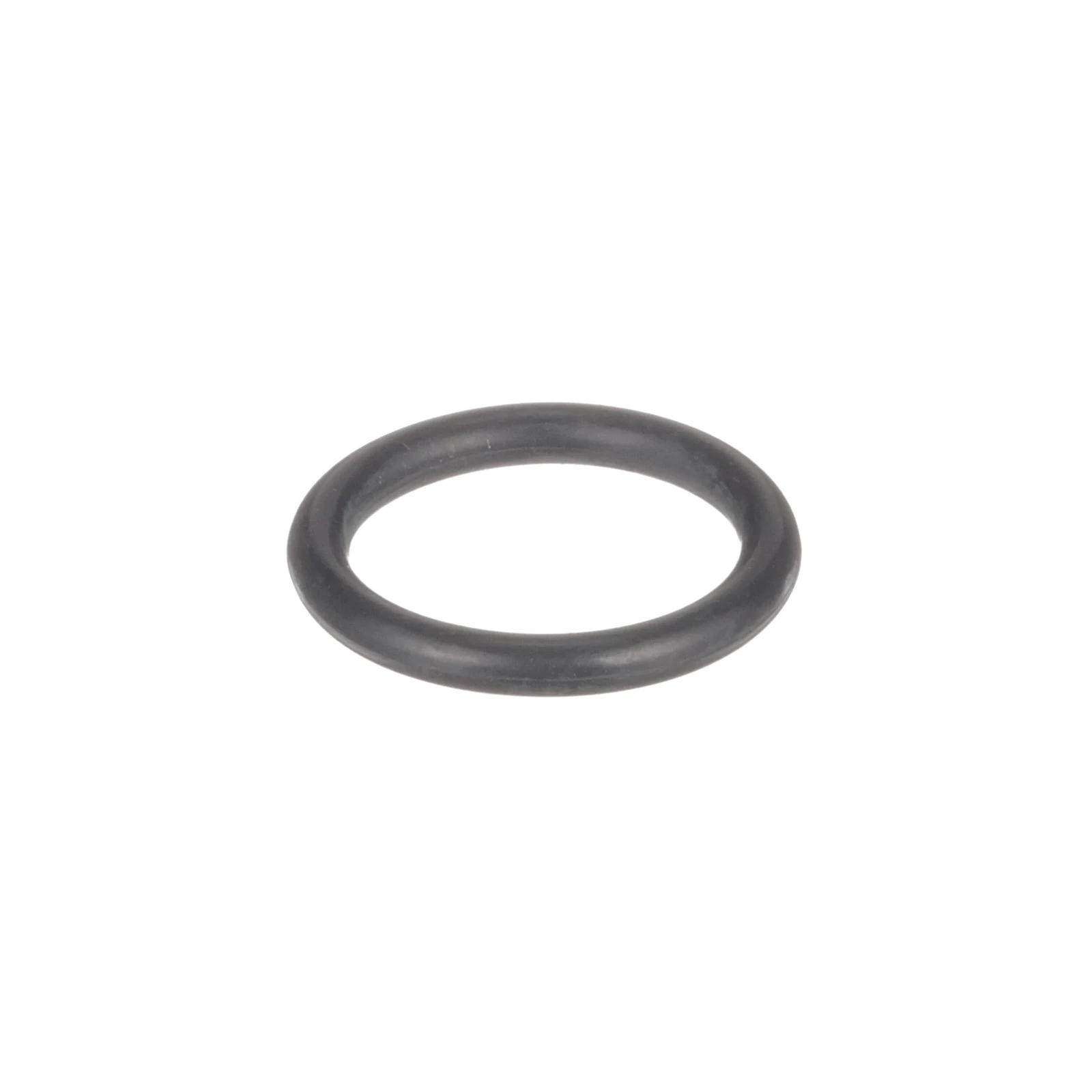 Agitator O-Ring