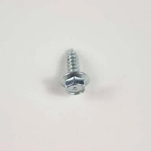 Screw