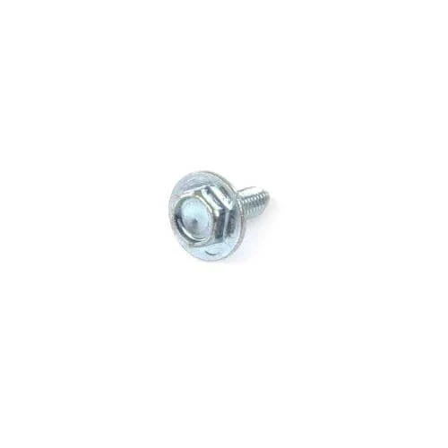 Screw