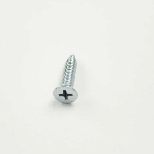Door Hinge Screw