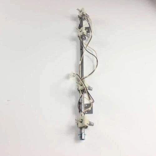 Manifold