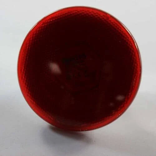 Light Bulb