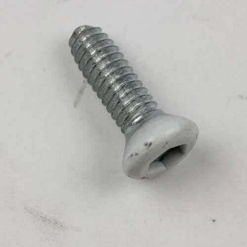 Screw