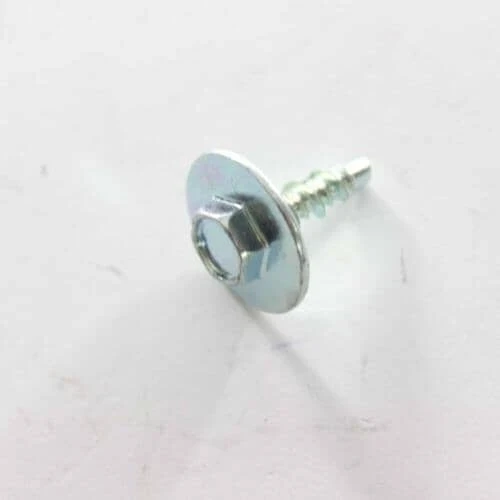 Screw