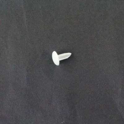 Plug Assembly