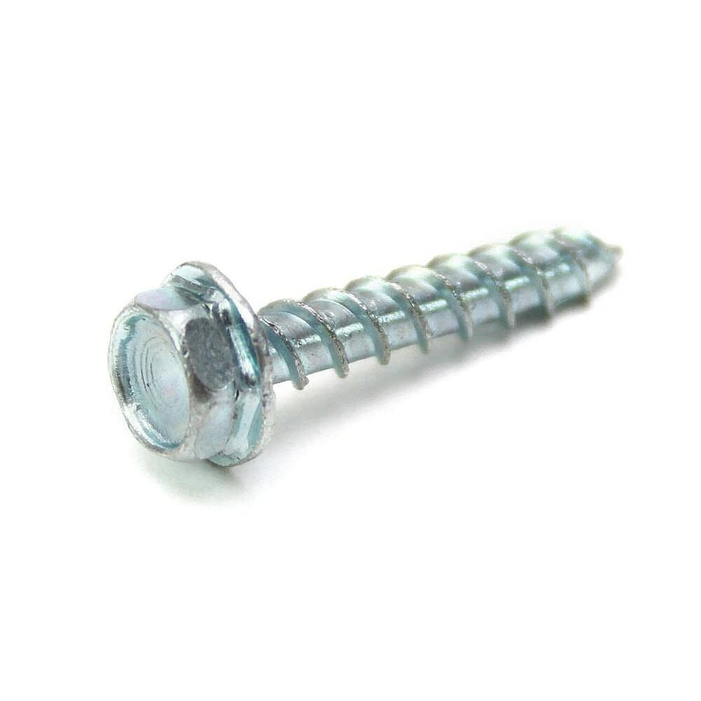 Motor Mounting Screw
