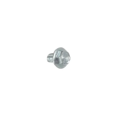Screw