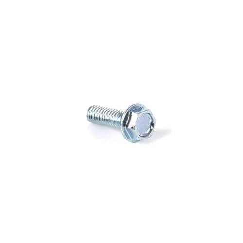 Screw
