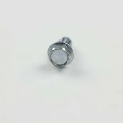 Screw