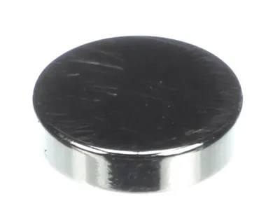 Magnet