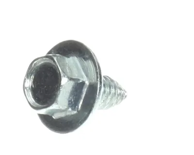 Screw